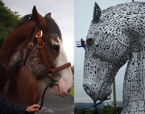بزرگترین مجسمه های اسب جهان